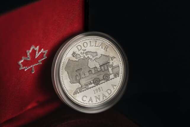 silver Canadian coin on a maple leaf background