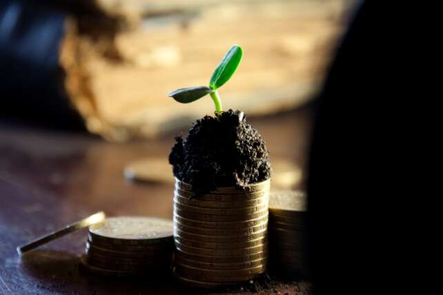 a seed sprouting on a pile of cash